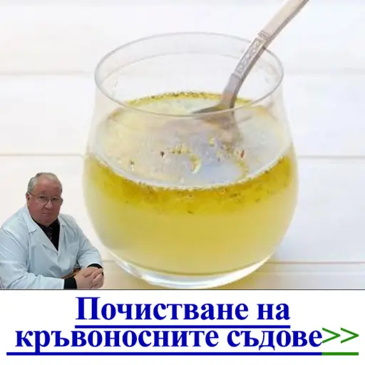 Почистване на вени у дома. 9 стъпки за почистване на кръвоносните съдове