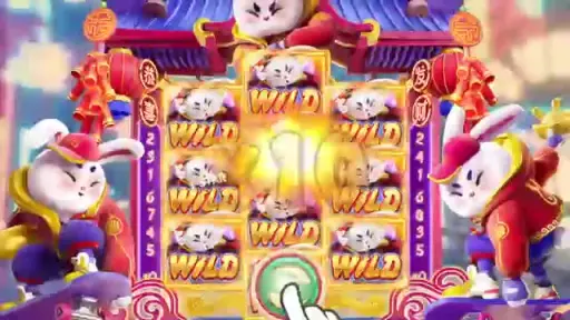 Pet Plunge