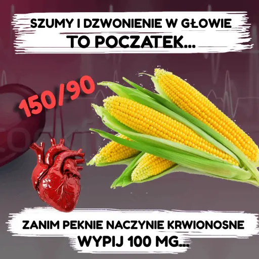 Czyste naczynia krwionośne. Roślinny suplement wspiera oczyszczanie naczyń krwi.