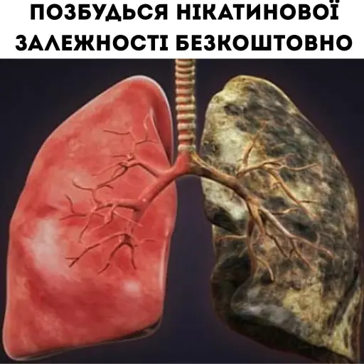 Домашній метод кинути палити. Позбудьтесь залежності від цигарок вдома