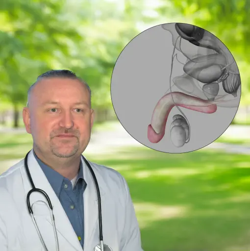 Odbuduje prostatę od pierwszej kapsułki. Niezawodny środek na osłabioną prostatę